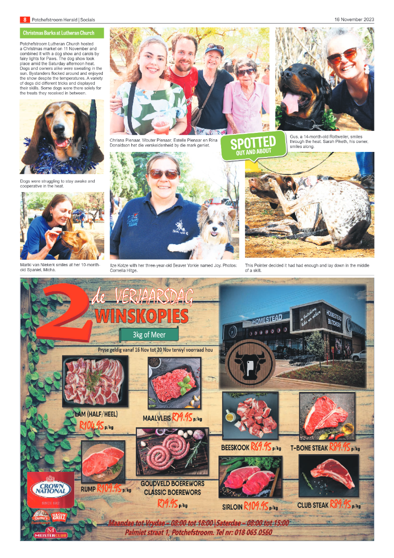 16 November 2023 page 8