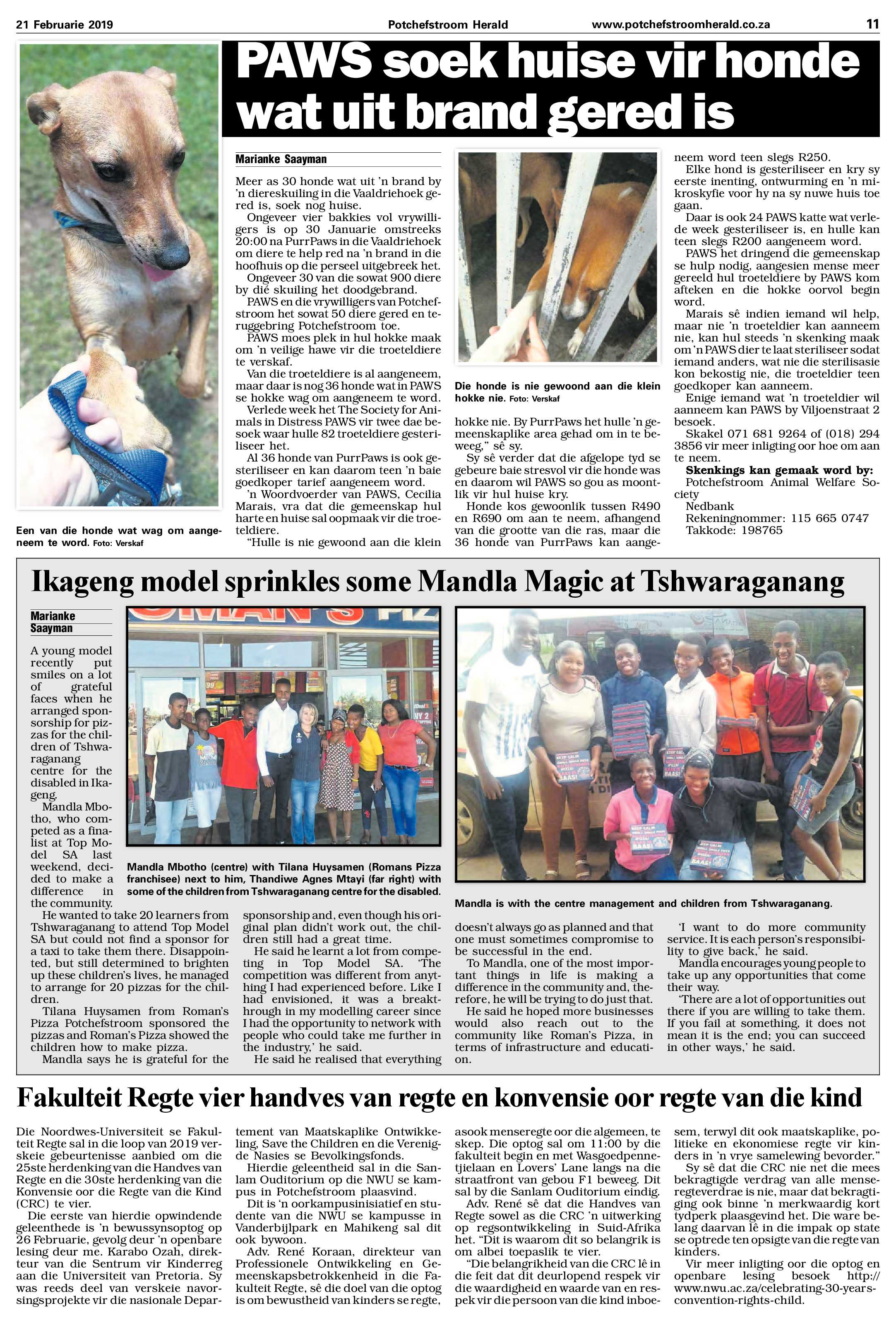 21 Februarie 2019 page 11