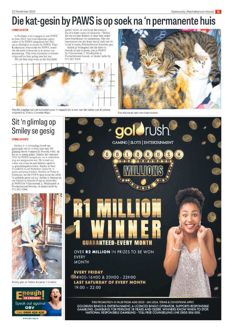23 November 2023 page 15