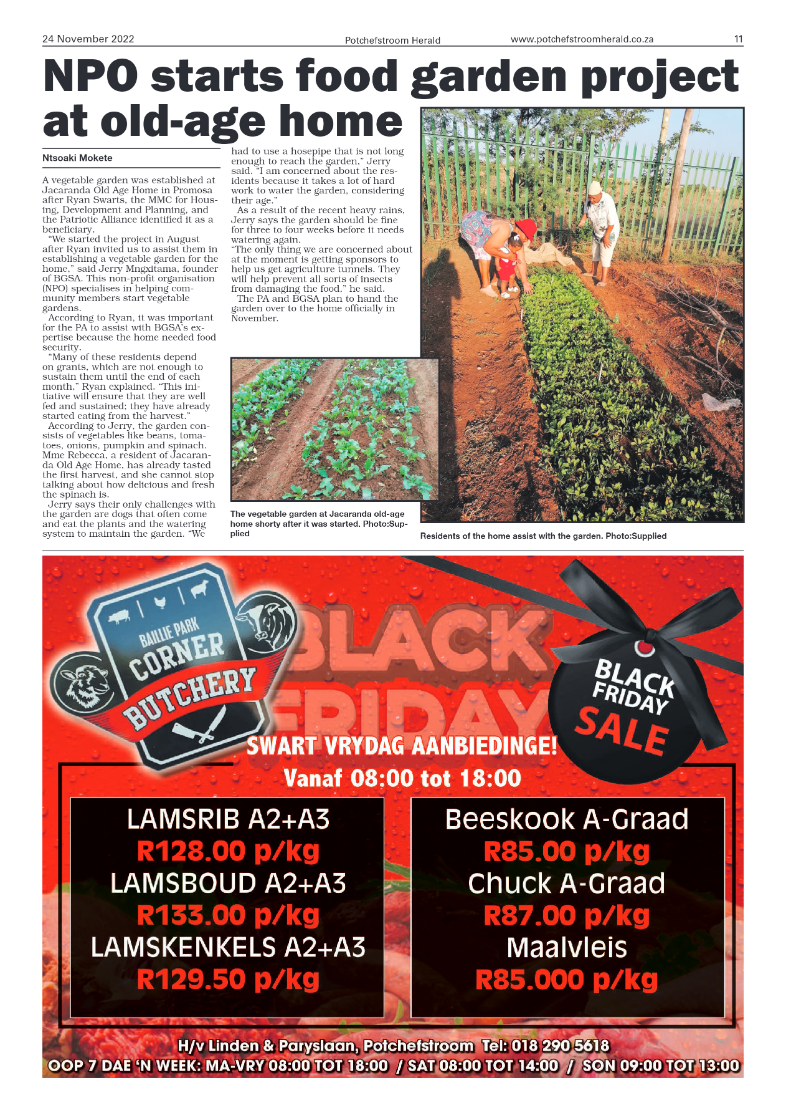24 November 2022 page 11